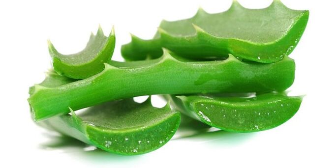 Aloe for the treatment of nail fungi